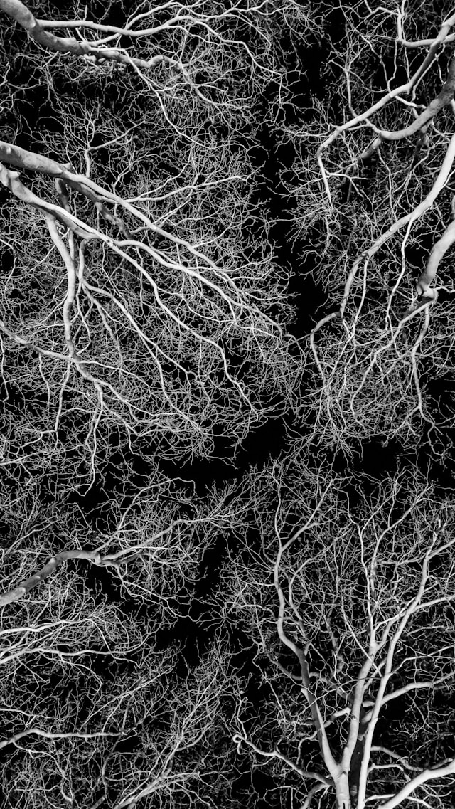 שורשי התפיסה הביטחונית / המודיעינית (ולא רק) שורשי התפיסה הביטחונית / המודיעינית (ולא רק)