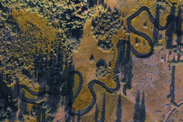 הסביבה האסטרטגית הסביבה האסטרטגית